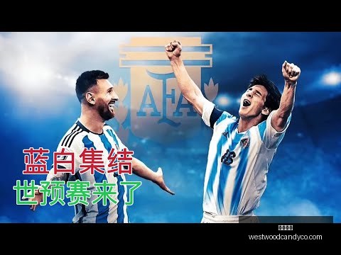 陕西体育局,开展西部杯,冲突事件调,开云官网,开云体育,开云全站,开云入口,开云代理