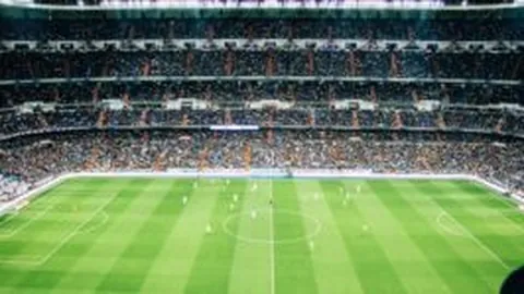 哪國榮獲世界杯主辦國冠軍寶座？