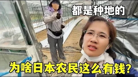 郑钦文迈阿密赛首秀取胜